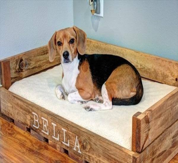 Pallets Creations for Your Pets | Pallet Ideas